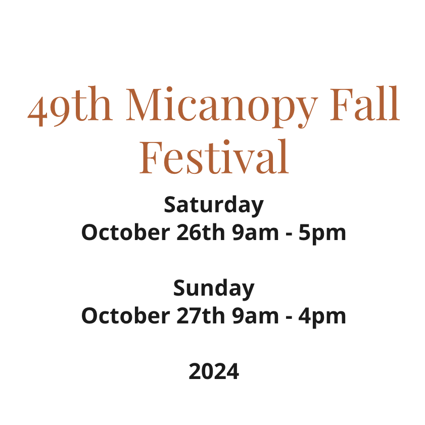 Annual micanopy fall festival giggle magazine